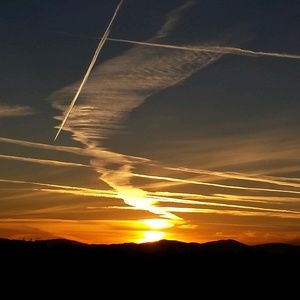 Meet your Posher, Remegio